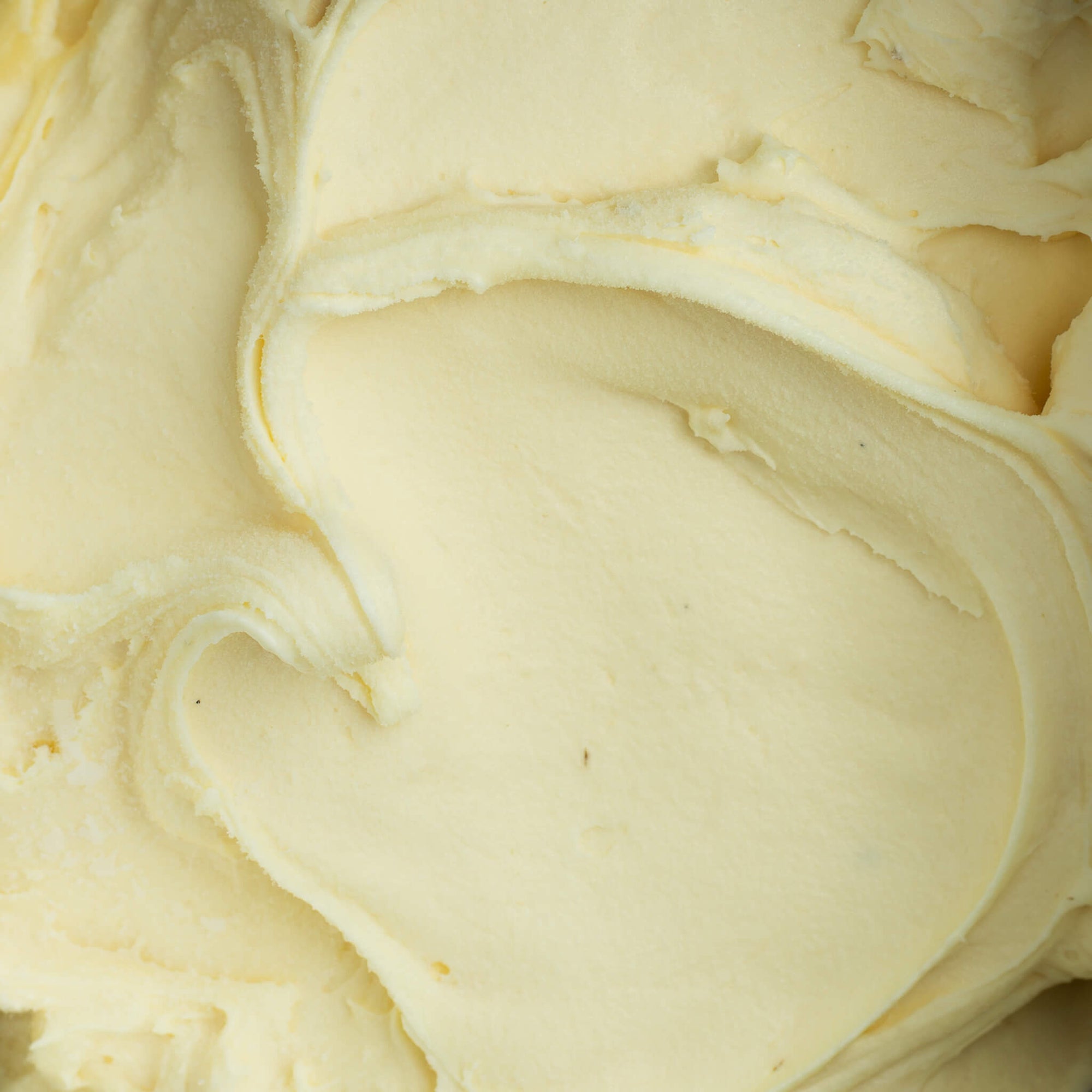 French Vanilla Plant Based Gelato Ice Cream